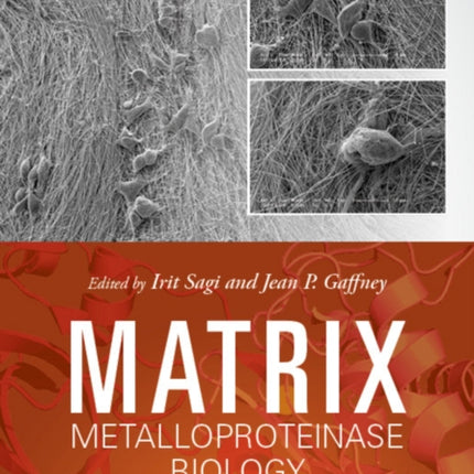 Matrix Metalloproteinase Biology