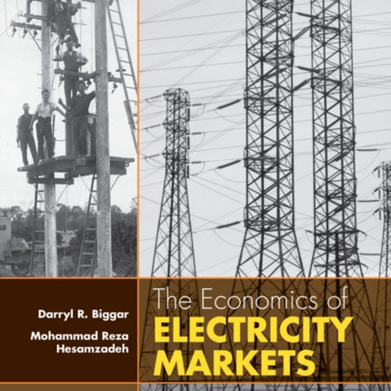 The Economics of Electricity Markets