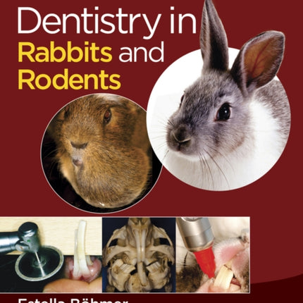 Dentistry in Rabbits and Rodents