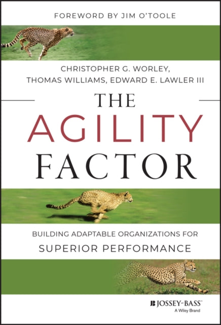 The Agility Factor: Building Adaptable Organizations for Superior Performance