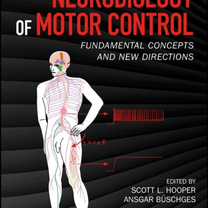 Neurobiology of Motor Control: Fundamental Concepts and New Directions