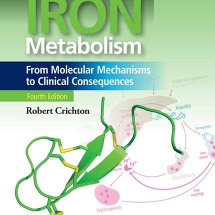 Iron Metabolism: From Molecular Mechanisms to Clinical Consequences