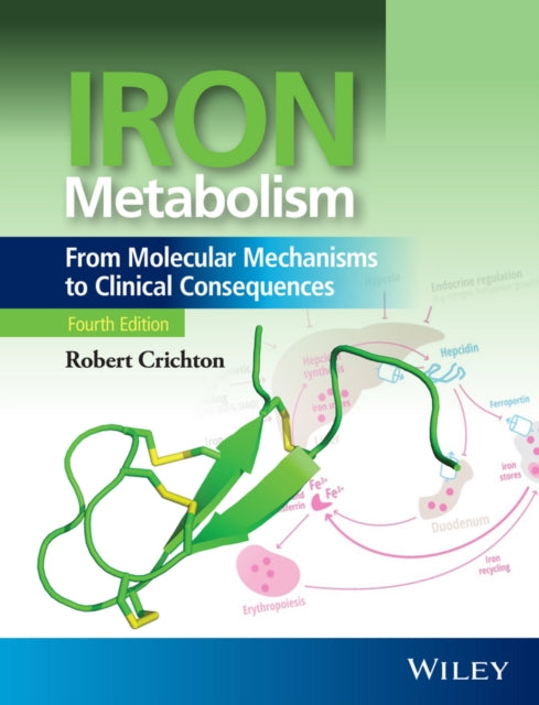 Iron Metabolism: From Molecular Mechanisms to Clinical Consequences