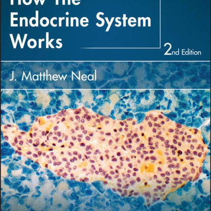 How the Endocrine System Works