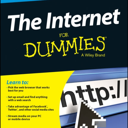 The Internet For Dummies