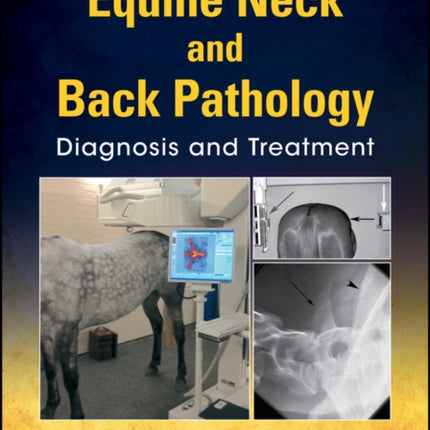 Equine Neck and Back Pathology: Diagnosis and Treatment