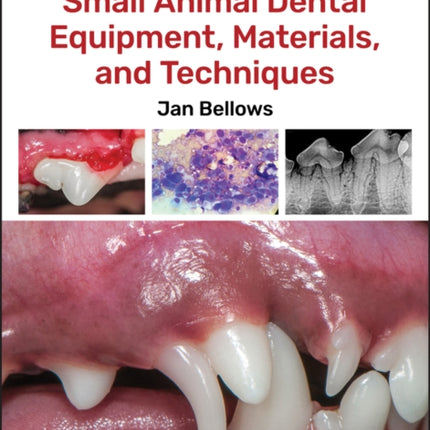 Small Animal Dental Equipment Materials and