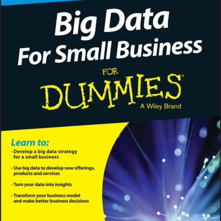 Big Data For Small Business For Dummies