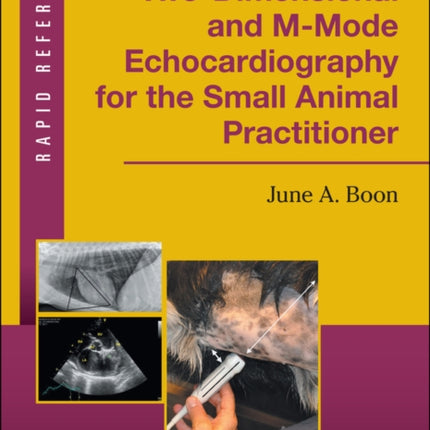 Two-Dimensional and M-Mode Echocardiography for the Small Animal Practitioner