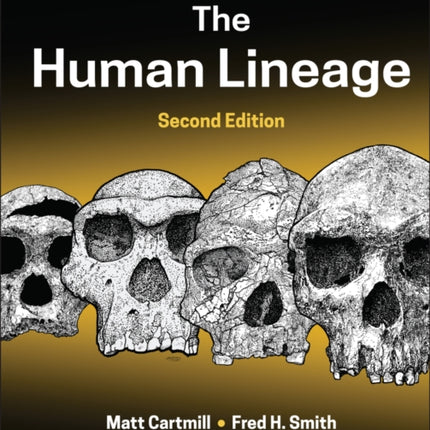 The Human Lineage