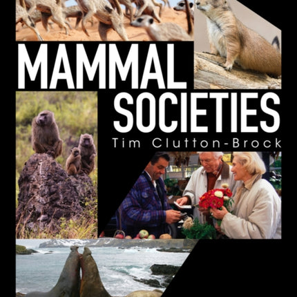 Mammal Societies