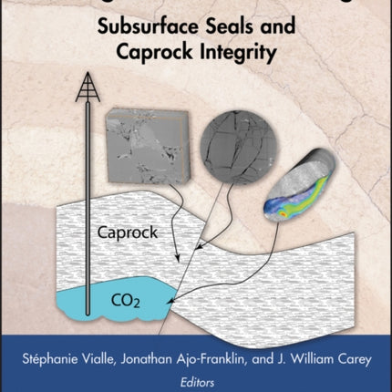 Geological Carbon Storage: Subsurface Seals and Caprock Integrity