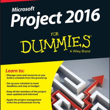 Project 2016 For Dummies