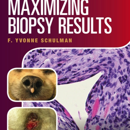 Veterinarian's Guide to Maximizing Biopsy Results