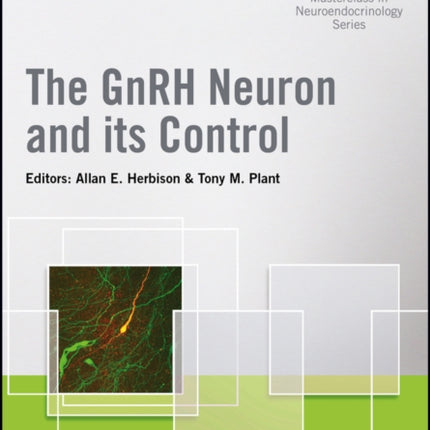 The GnRH Neuron and its Control