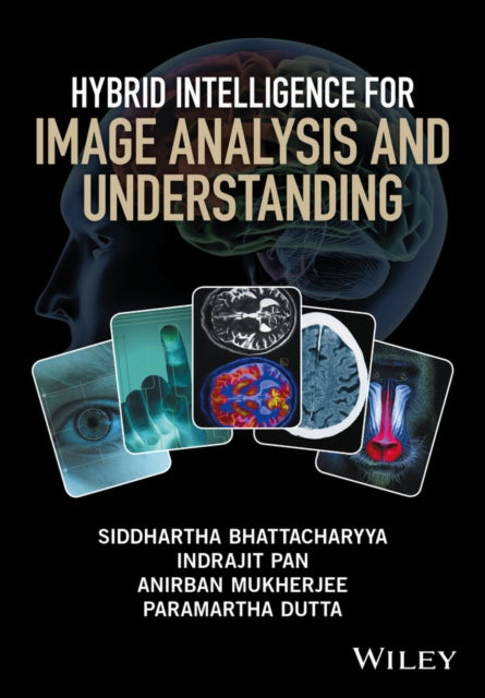 Hybrid Intelligence for Image Analysis and Understanding