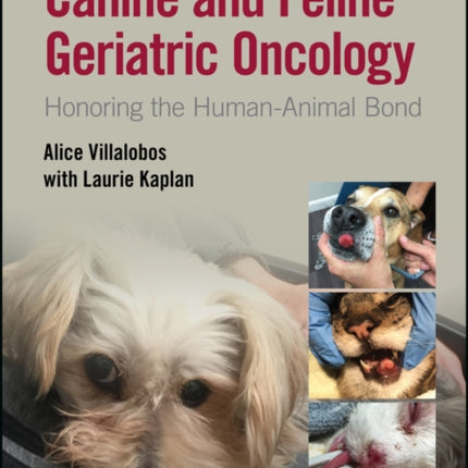 Canine and Feline Geriatric Oncology