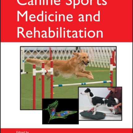Canine Sports Medicine and Rehabilitation