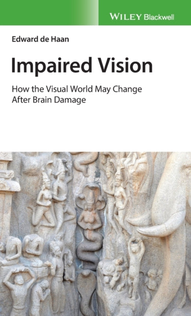 Impaired Vision: How the Visual World May Change after Brain Damage