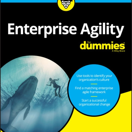 Enterprise Agility For Dummies