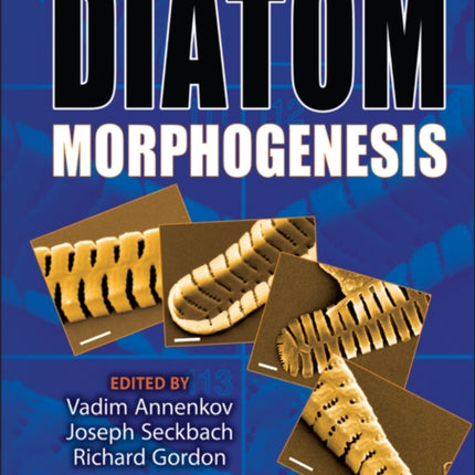 Diatom Morphogenesis