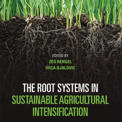 The Root Systems in Sustainable Agricultural Intensification