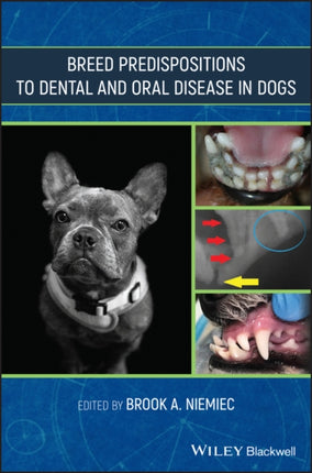 Breed Predispositions to Dental and Oral Disease in Dogs