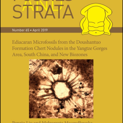 Ediacaran Microfossils from the Doushantuo Formation Chert Nodules in the Yangtze Gorges Area, South China, and New Biozones