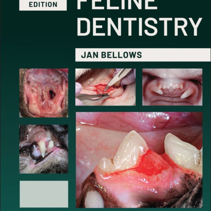 Feline Dentistry
