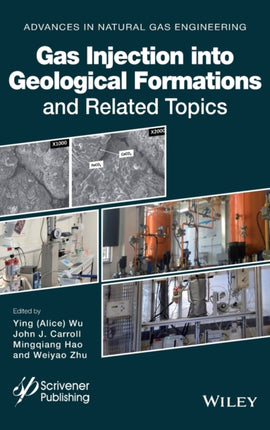 Gas Injection into Geological Formations and Related Topics