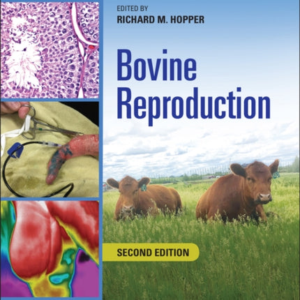 Bovine Reproduction