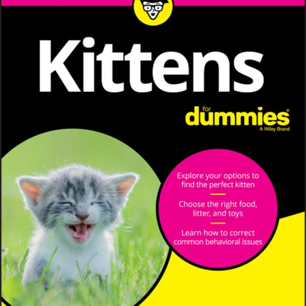 Kittens For Dummies