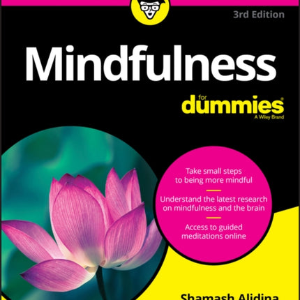 Mindfulness For Dummies