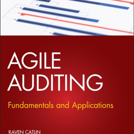 Agile Auditing