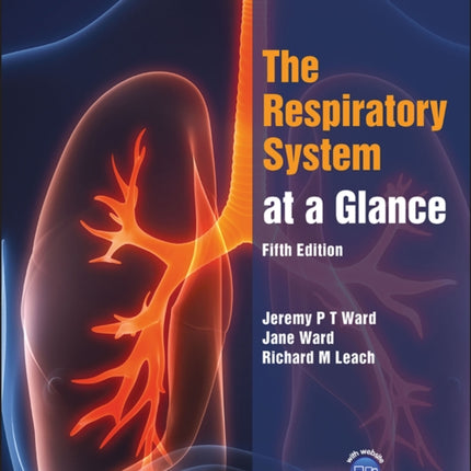 The Respiratory System at a Glance