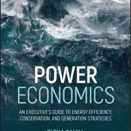 Power Economics: An Executive's Guide to Energy Efficiency, Conservation, and Generation Strategies