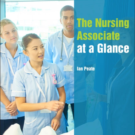 The Nursing Associate at a Glance