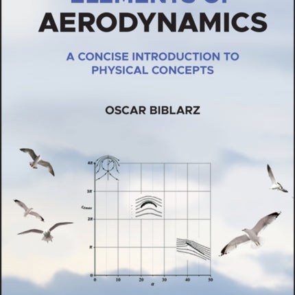 Elements of Aerodynamics: A Concise Introduction to Physical Concepts