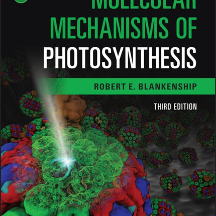 Molecular Mechanisms of Photosynthesis