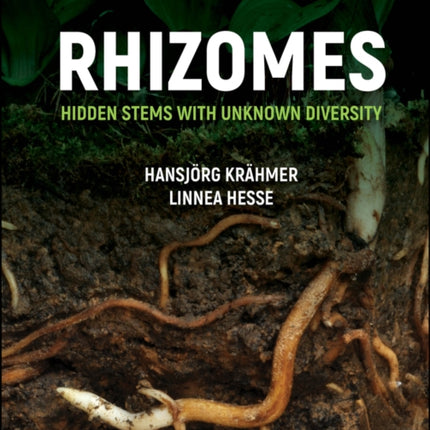 Rhizomes