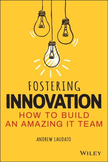 Fostering Innovation: How to Build an Amazing IT Team