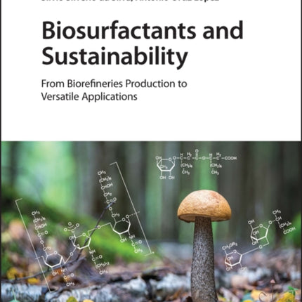 Biosurfactants and Sustainability: From Biorefineries Production to Versatile Applications