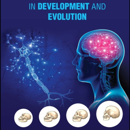 Neocortical Neurogenesis in Development and Evolution