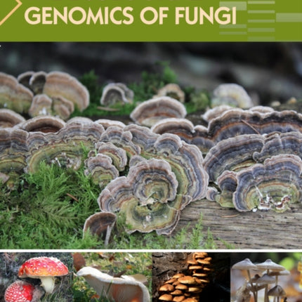 The Ecological Genomics of Fungi