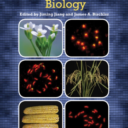 Plant Centromere Biology