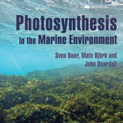 Photosynthesis in the Marine Environment