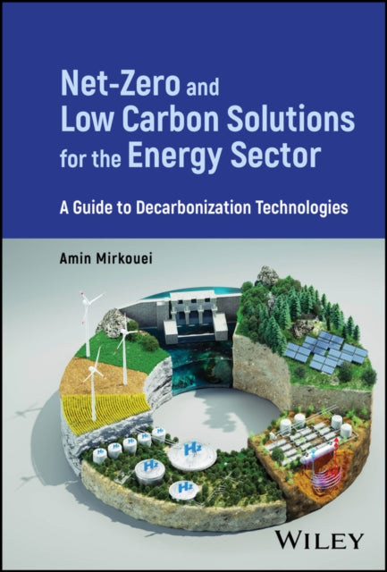 NetZero and Low Carbon Solutions for the Energy
