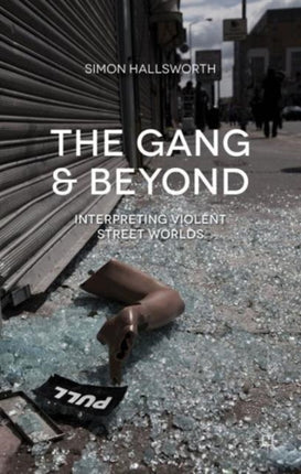 The Gang and Beyond Interpreting Violent Street Worlds