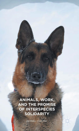 Animals Work and the Promise of Interspecies Solidarity