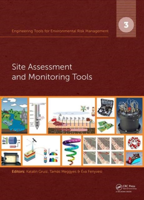 Engineering Tools for Environmental Risk Management: 3. Site Assessment and Monitoring Tools